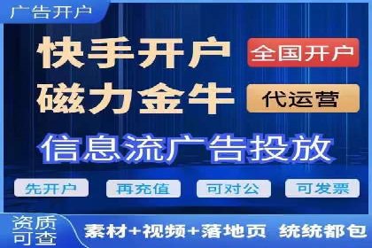 SEM搜索引擎优化案例：如何提升网站流量和转化率